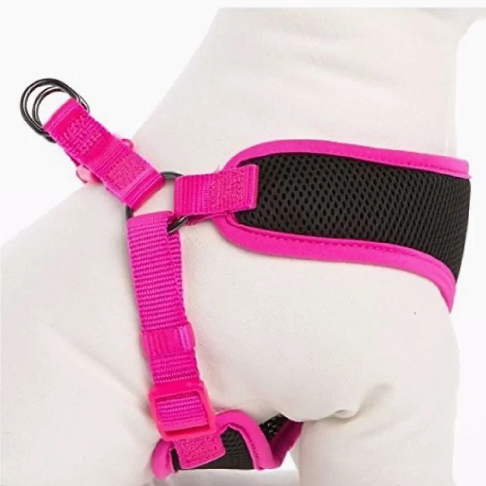 Top Paws Harness!